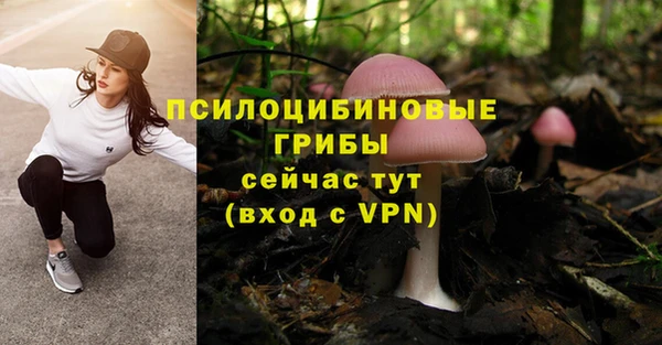 амф Алексин