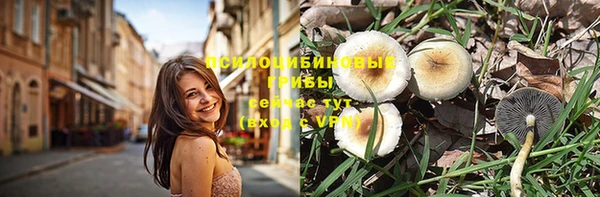 шишки Алзамай