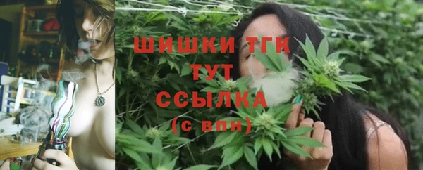 шишки Алзамай
