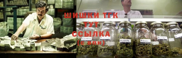 шишки Алзамай